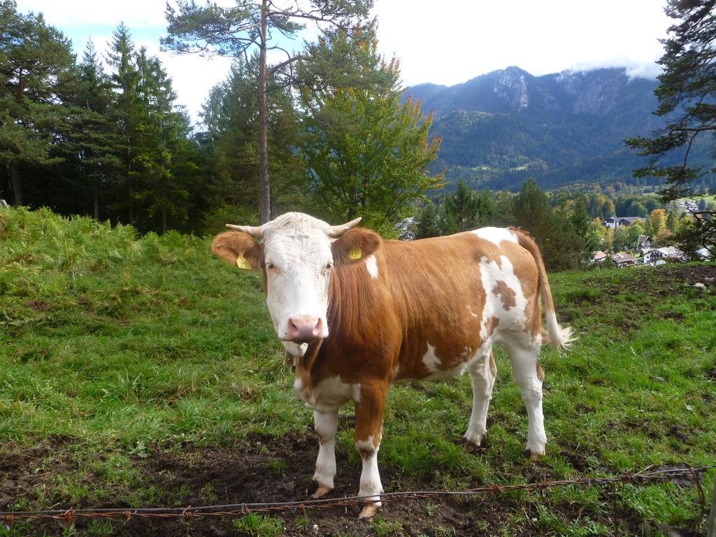 Zum Franziskaner Grainau Luaran gambar